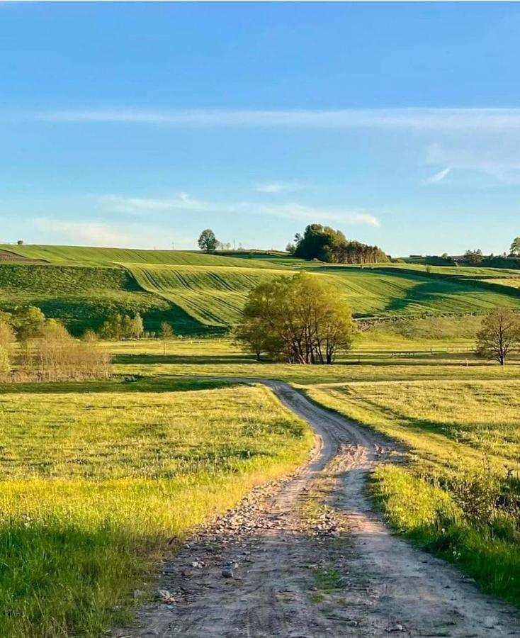Domek Matylda- Kaszuby Villa Nowe Czaple  Buitenkant foto